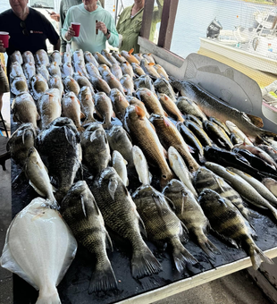 Drift, cast, catch, repeat